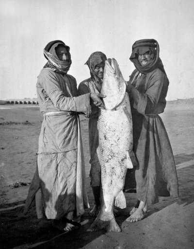 Sivile arabere med en stor fisk, 1914-18 av English Photographer